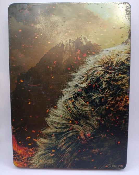 Dark Souls II Steelbook Xbox 360
